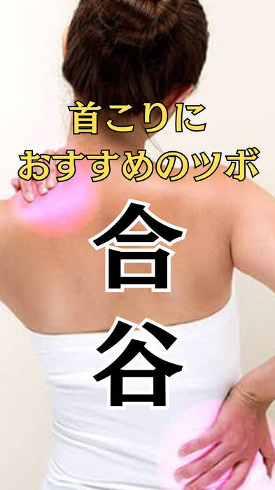 画像368